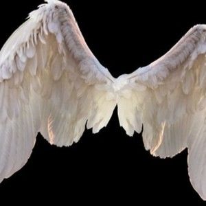 Meet your Posher, Loki